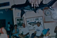 /album/fotogaleria/dsc-0055-jpg/