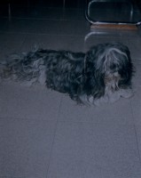 /album/fotogaleria/dsc-0074-jpg/